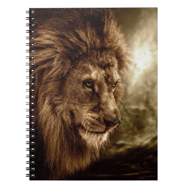 Lion against stormy sky notebook (Front)
