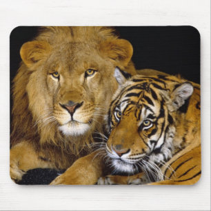 lion and a tiger mouse pad