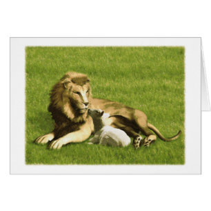 Lion and Lamb
