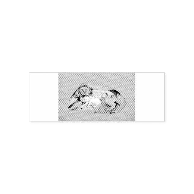Lion And Lamb Self-inking Stamp (Design)