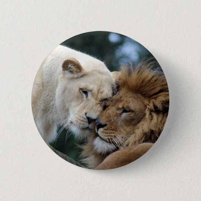 Lion and Lioness 6 Cm Round Badge (Front)