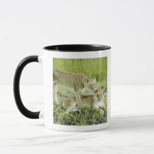 Lion and lioness, Africa Mug