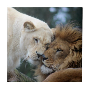 Lion and Lioness Ceramic Tile