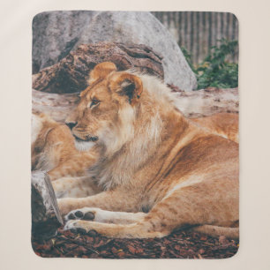 LION AND LIONESS LYING ON BROWN SURFACE SHERPA BLANKET
