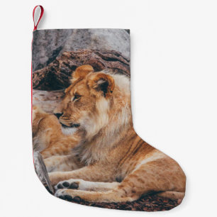 LION AND LIONESS LYING ON BROWN SURFACE SMALL CHRISTMAS STOCKING