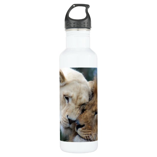 Lion and Lioness Nuzzling 710 Ml Water Bottle (Front)
