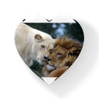 Lion and Lioness Nuzzling