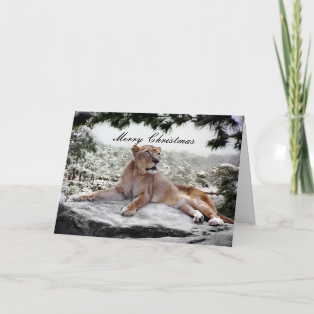 Lion at Christmas Holiday Card (Front)