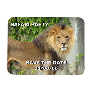 Lion at Maasai Mara 2 Save-the-Date Magnet