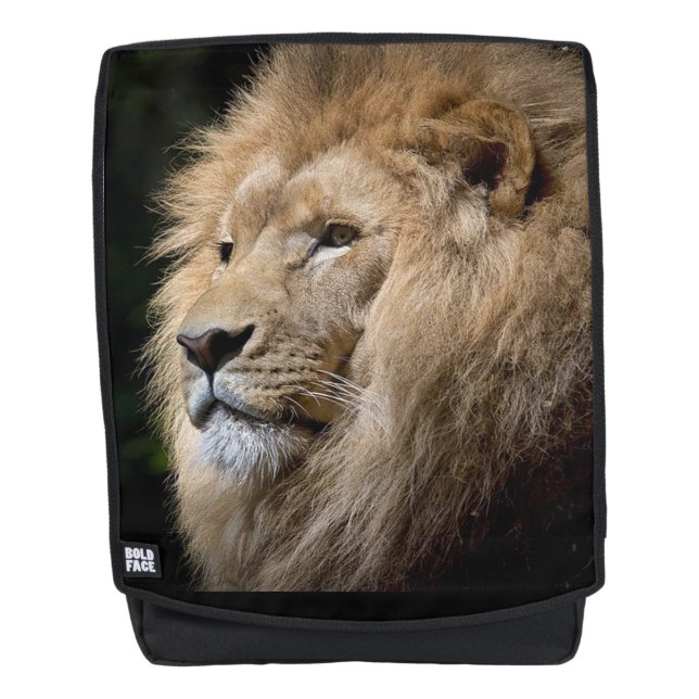 Lion Backpack (Front)