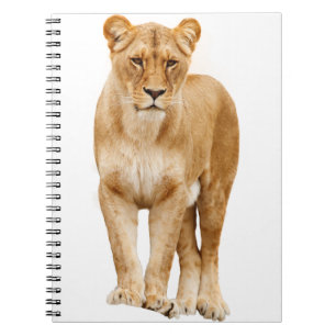 Lion Big Cat Predator Proudly Notebook