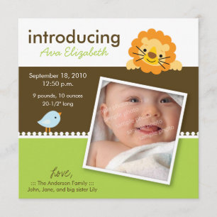 Lion & Birdie Designer Birth Announcement (green)