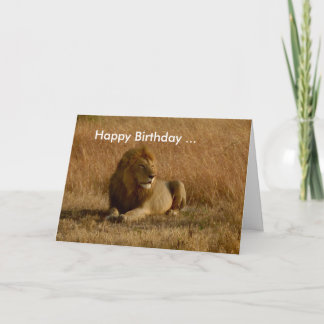 Lion Birthday card. Card