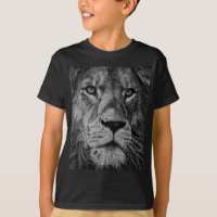 Lion Black & White