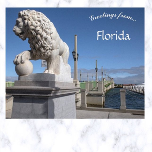 Lion Bridge St Augustine Florida Postcard (Creator Uploaded)