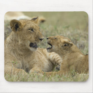 Lion Brothers Mouse Pad
