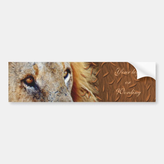 Lion bumpersticker bumper sticker (Front)