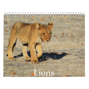 Lion Calendar