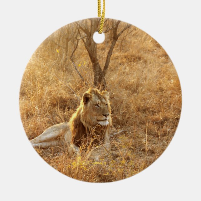 Lion Ceramic Ornament (Front)