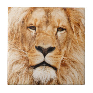 Lion Ceramic Tile