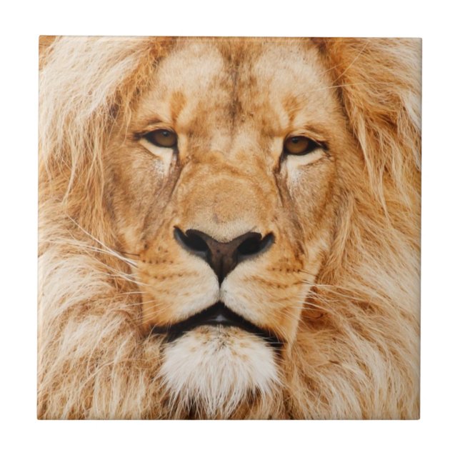 Lion Ceramic Tile (Front)