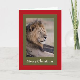 lion-christmas-cards holiday card
