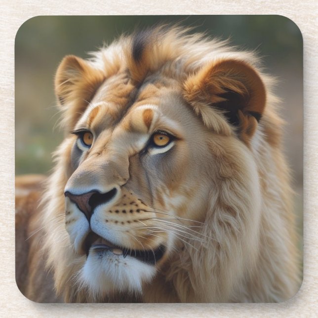 Lion Coaster (Front)