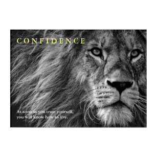 Lion Confidence Quote Inspirational Acrylic Print
