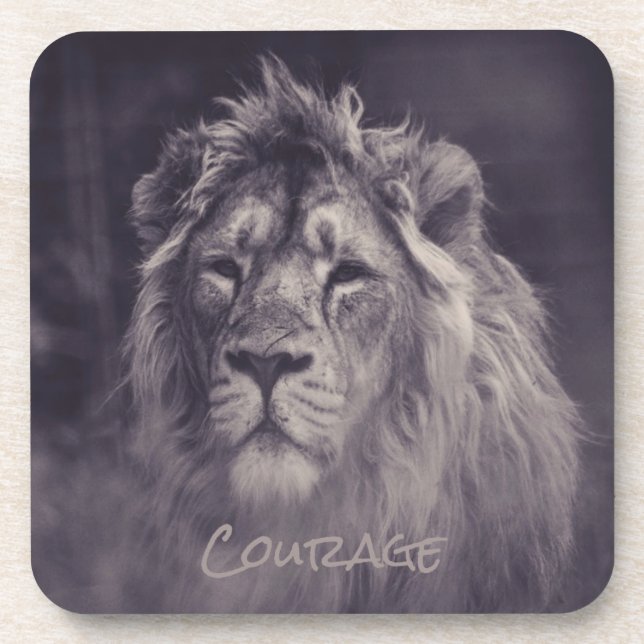 Lion Courage King of the Jungle Coaster (Front)