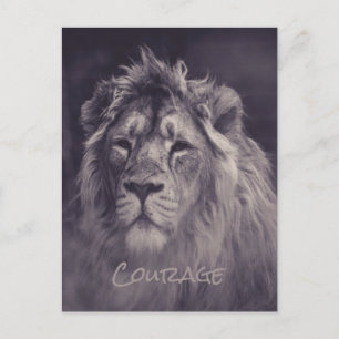 Lion Courage King of the Jungle Postcard