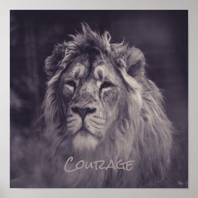 Lion Courage King of the Jungle Poster (Front)