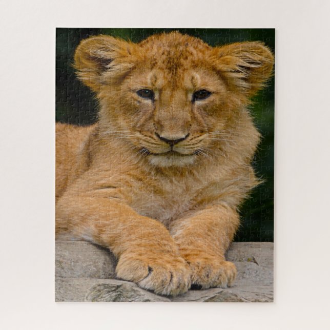 Lion Cub Big Cats. Jigsaw Puzzle (Vertical)