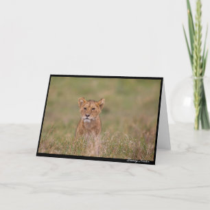 Lion Cub Card