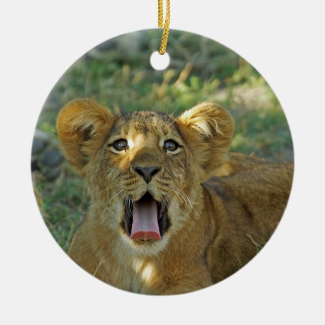 Lion Cub Ceramic Tree Decoration (Front)