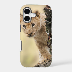 Lion Cub Climbing Tree Cute Photo