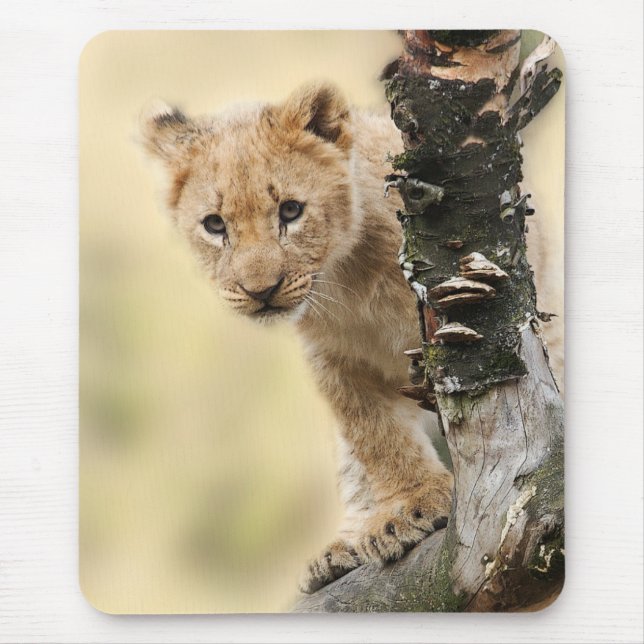 Lion Cub Climbing Tree Cute Photo Mouse Pad (Front)