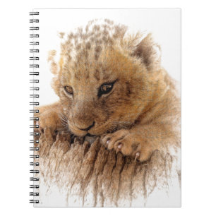Lion cub close cute eyes lookout notebook