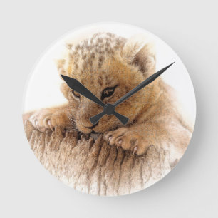 Lion cub close cute eyes lookout round clock