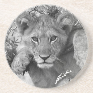 Lion Cub Coaster