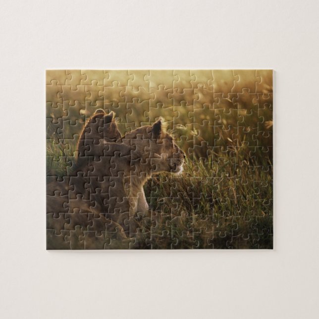 Lion & Cub Game Puzzle (Horizontal)