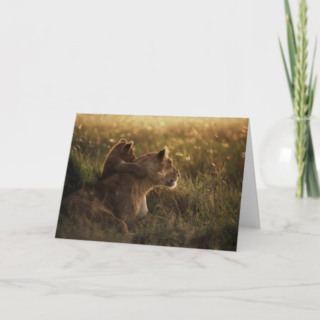 Lion & Cub Greeting Card (Front)