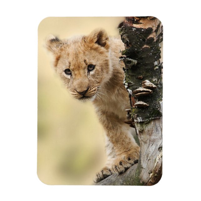 Lion Cub Magnet (Vertical)