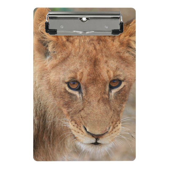 Lion Cub Mini Clipboard (Front)