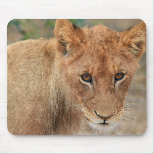 Lion Cub Mouse Pad