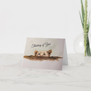 Lion Cub Peeking Over a Log Note Card