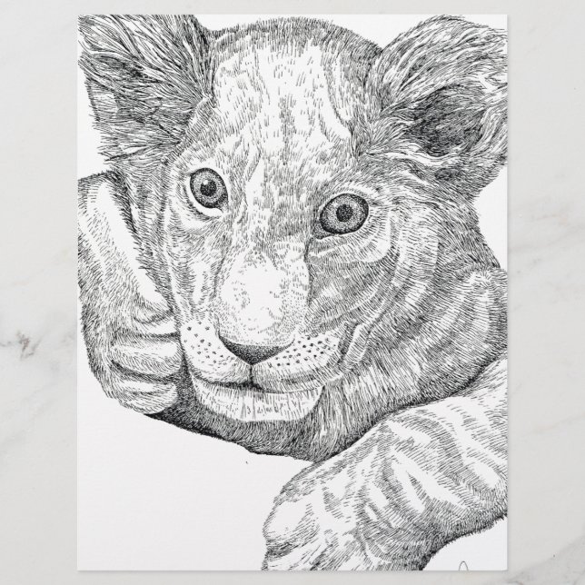 Lion Cub Pen and Ink (Front)