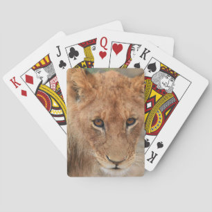 Lion Cub Playing Cards