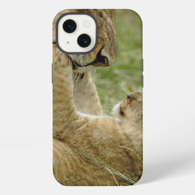Lion Cub Playing iPhone Case (Back)