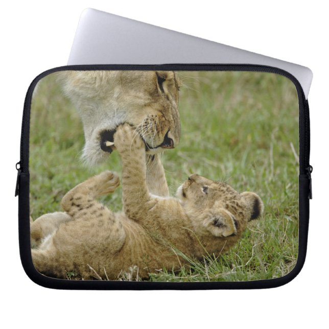 Lion Cub Playing Laptop Sleeve (Front)