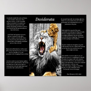 Lion Cub Poster